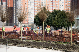 Парк «Краснодар»  &copy;&nbsp;Фото Елены Синеок, Юга.ру