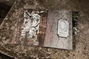  &copy;&nbsp;Фотограф Станислава Войцеховская