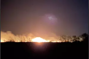  &copy;&nbsp;Скриншот из телеграм-канала эколога Георгия Каваносяна https://t.me/ecozhora/5005