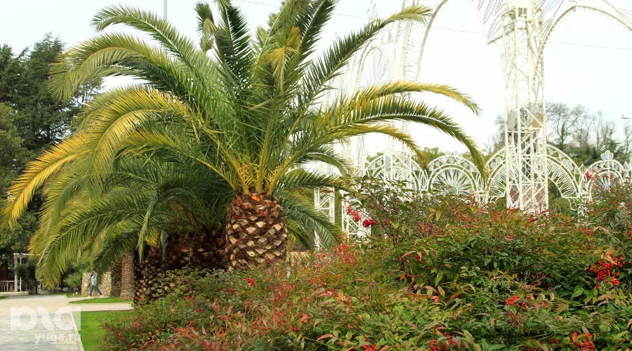  &copy;&nbsp;Фото Марины Солошко, Юга.ру