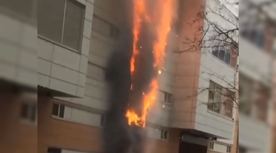  &copy;&nbsp;Скриншот из видео instagram.com/merkuloverealcowboy/