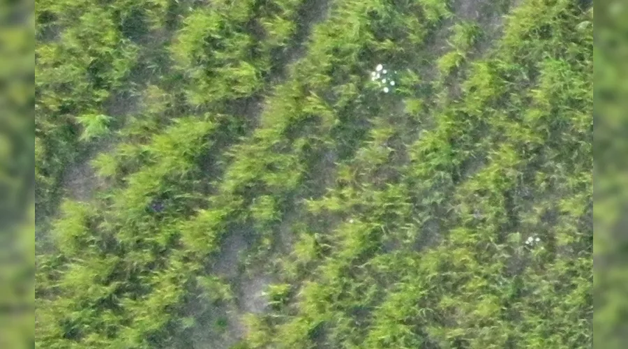  &copy;&nbsp;Фото с сайта watcher.lizaalert.ru