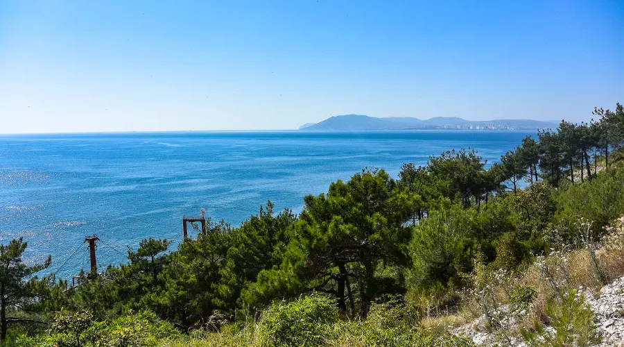  &copy;&nbsp;Фото Victoria Balobanova, freepik.com