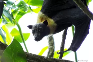  &copy;&nbsp;Фото Максима Богатырева