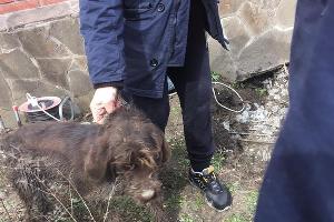  &copy;&nbsp;Фото со страницы instagram.com/alekseioderov