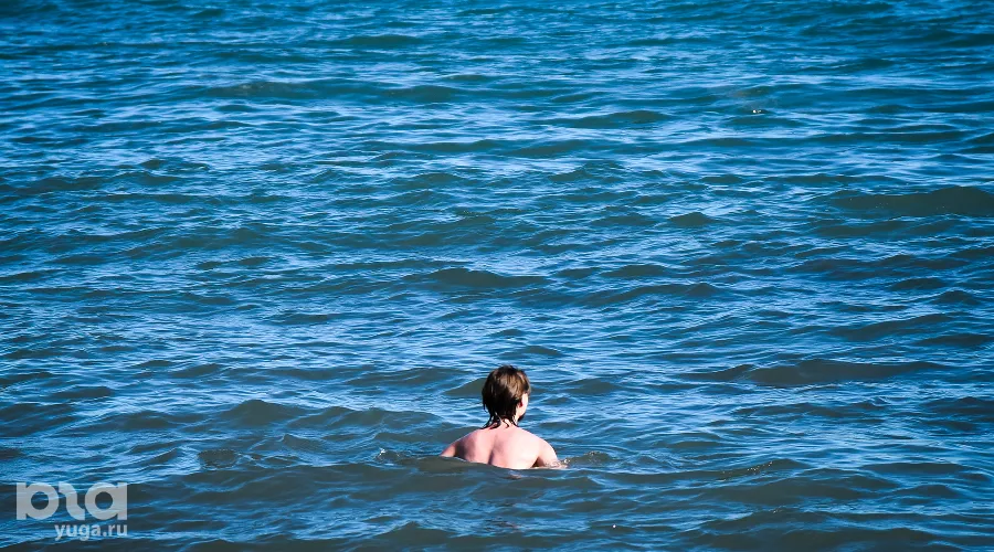  &copy;&nbsp;Фото Елены Синеок, Юга.ру