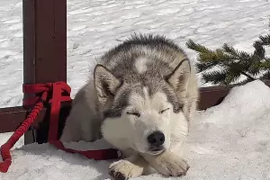  &copy;&nbsp;Фото пресс-службы Кавказского заповедника