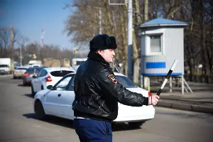 Акция "Цветочный патруль" в Краснодаре  &copy;&nbsp;Елена Синеок, ЮГА.ру