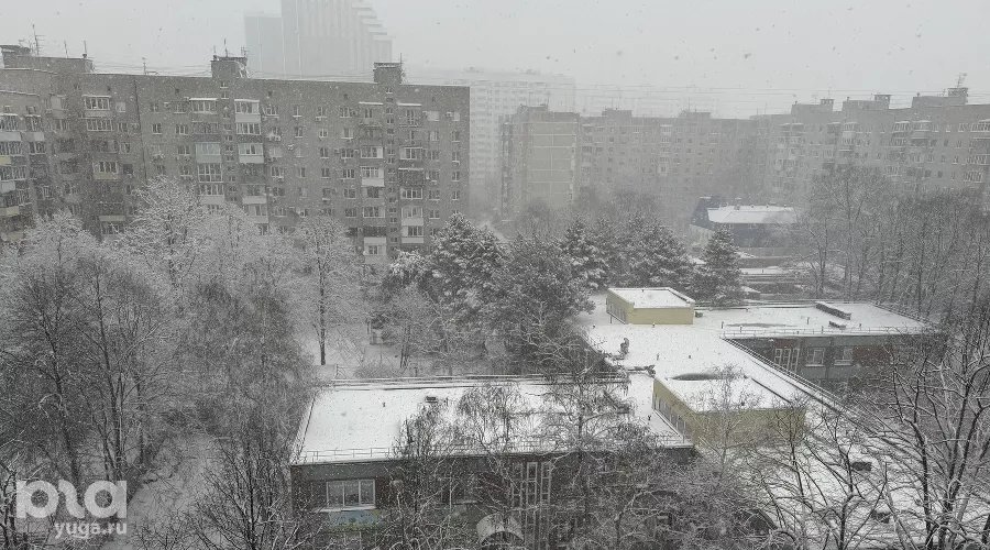  &copy;&nbsp;Фото Марии Журавлевой, Юга.ру