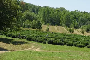  &copy;&nbsp;Фото пресс-службы главы Республики Адыгея
