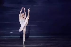 Балет «Лебединое озеро» &copy;&nbsp;Скриншот видео из YouTube-канала Евгения Кирилло