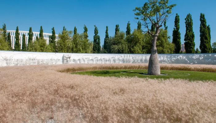 Бутылочное дерево на фоне скульптурной композиции «Искусственная среда» в парке «Краснодар» &copy;&nbsp;Фото Дмитрия Пославского, Юга.ру