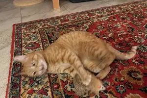  &copy;&nbsp;Фото Ангелины Тарановой