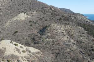 Заповедник "Утриш" &copy;&nbsp;Фото Андрея Маковозова, предоставлено Юга.ру