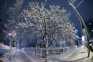  &copy;&nbsp;Фото Михаила Ступина, Юга.ру