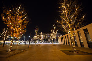 Парк «Краснодар» &copy;&nbsp;Фото Елены Синеок, Юга.ру