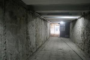  © Фото Карины Сардарян, пресс-служба администрации Краснодара