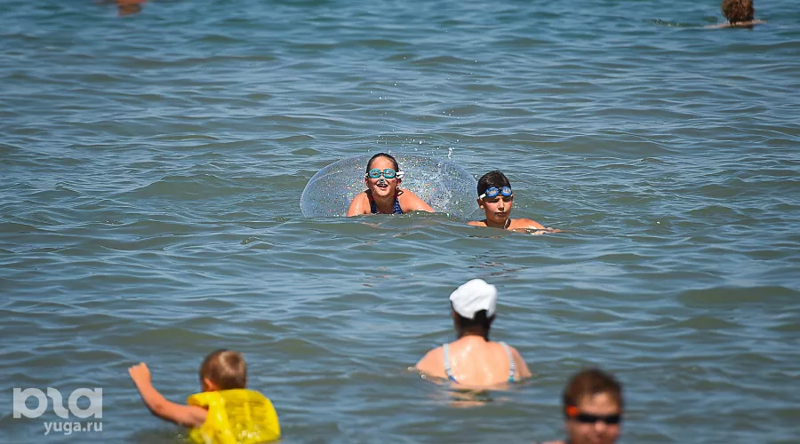  &copy;&nbsp;Фото Елены Синеок, Юга.ру