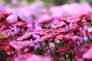  &copy;&nbsp;Фото Марины Солошко, Юга.ру