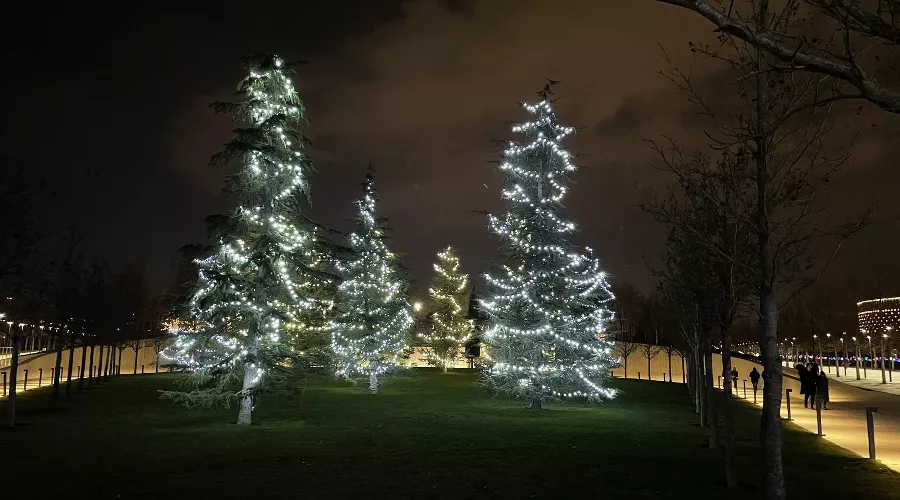  &copy;&nbsp;Фото Олеси Шубиной, Юга.ру