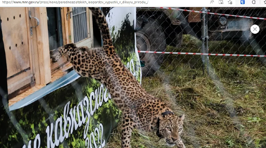  &copy;&nbsp;Скриншот публикации на сайте Минприроды РФ, mnr.gov.ru