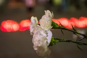  &copy;&nbsp;Фото Елены Синеок, Юга.ру