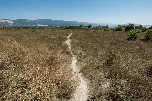 Суджукская лагуна и ее окрестности &copy;&nbsp;Фото Елены Синеок, Юга.ру