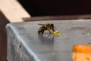  &copy;&nbsp;Фото Елены Синеок, Юга.ру