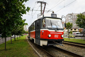  &copy;&nbsp;Фото Елены Синеок, Юга.ру