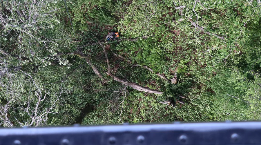  &copy;&nbsp;Фото пресс-службы ЮРПСО МЧС России