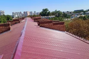  &copy;&nbsp;Фото пресс-службы мэрии Краснодара