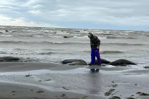  &copy;&nbsp;скриншот из телеграм-канала Минприроды РД https://t.me/mprdag2020/770