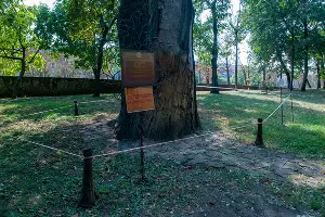  &copy;&nbsp;Фото Дмитрия Пославского, Юга.ру