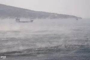  &copy;&nbsp;Фото Елены Синеок, Юга.ру