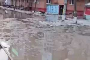  &copy;&nbsp;Скриншот видео телеграм-канала Муниципального Центра Управления города Краснодара, @mcu_krd