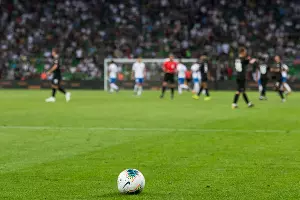  &copy;&nbsp;Фото Елены Синеок, Юга.ру