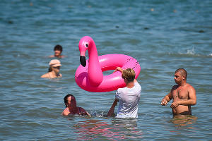  © Фото Елены Синеок, Юга.ру