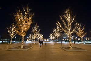 Парк «Краснодар» &copy;&nbsp;Фото Елены Синеок, Юга.ру