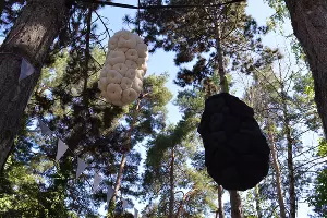 Выставка &laquo;Холодильник не холодит, а стиралка не стирает&raquo; 28 июня 2020 &copy;&nbsp;Фото Иры Афанасьевой