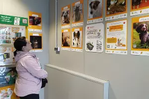  &copy;&nbsp;Фото предоставлено ТС &laquo;Пятёрочка&raquo;