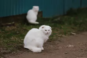  &copy;&nbsp;Фото Дениса Яковлева, Юга.ру