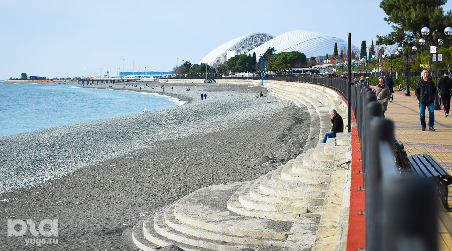  © Фото Елены Синеок, Юга.ру