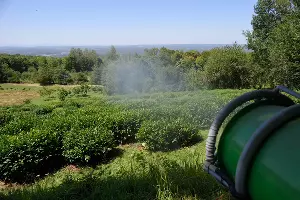  &copy;&nbsp;Фото пресс-службы главы Республики Адыгея