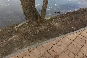 Парк у стадиона &laquo;Кубань&raquo;, январь 2023 &copy;&nbsp;Фото Александра Гончаренко, Юга.ру