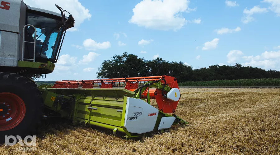  &copy;&nbsp;Фото Амины Ибрагимовой, Юга.ру