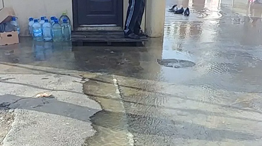  &copy;&nbsp;Фото Марка Колесникова