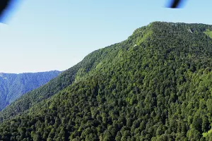  &copy;&nbsp;Фото пресс-службы ЮРПСО МЧС России