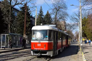  &copy;&nbsp;Фото Елены Синеок, Юга.ру