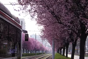  &copy;&nbsp;Фото Марины Солошко, Юга.ру