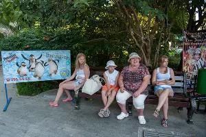  Открытие фестиваля "Акваджаз" в Сочи &copy;&nbsp;Нина Зотина, ЮГА.ру